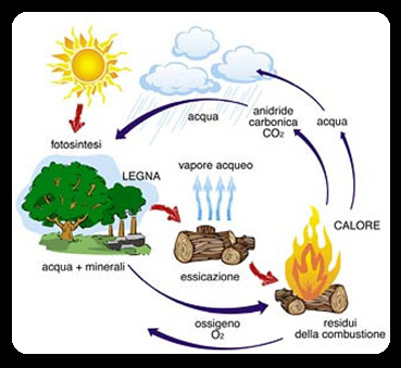Biomasse ciclo - Le nuove tecnologie