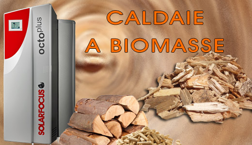 Caldsaie biomasse