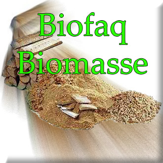 faq Biomasse Le nuove tecnologie