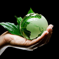 Immagine delle terrra, verde, in una mano - Le nuove tecnologie